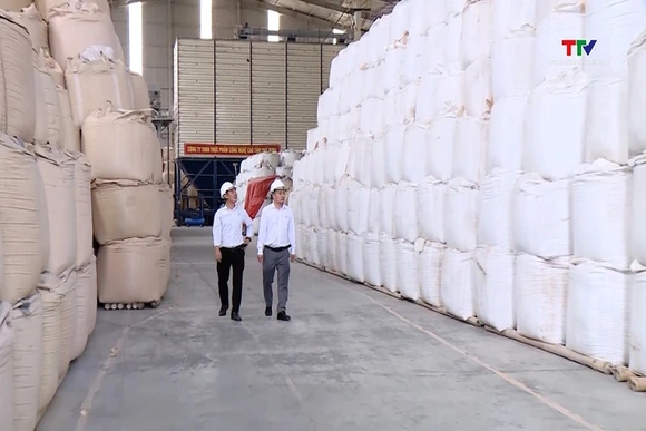 Quy định mới về chứng nhận gạo thơm xuất khẩu