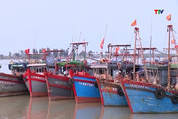 Tăng cường quản lý đội tàu, chống khai thác IUU