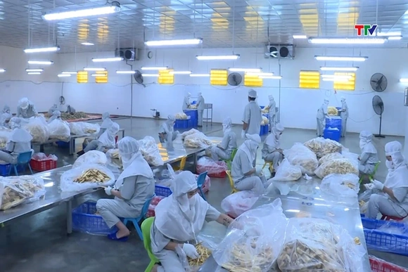 Thích ứng với các quy định xuất khẩu sang Trung Quốc