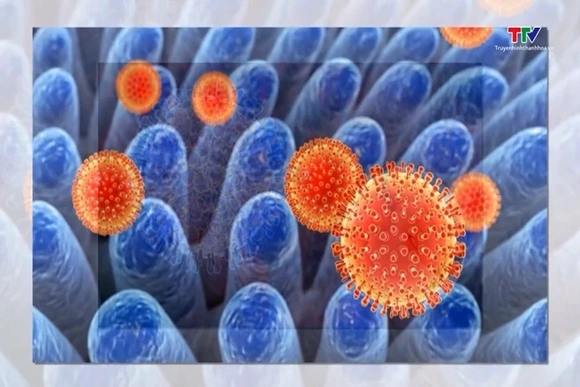 Phòng bệnh tiêu chảy cấp do Rotavirus ở trẻ nhỏ trong mùa hè