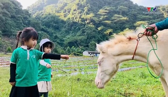Vượt khó làm giàu trên quê hương