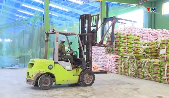 Bộ Tài chính xây dựng cơ chế hỗ trợ 1000 doanh nghiệp tiên phong