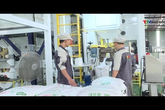 Dự báo, giá gạo xuất khẩu phục hồi trước áp lực nguồn cung