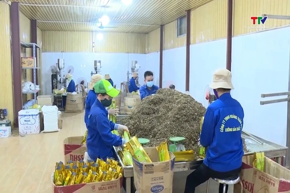 Linh hoạt thích ứng thị trường để phát triển tiểu thủ công nghiệp