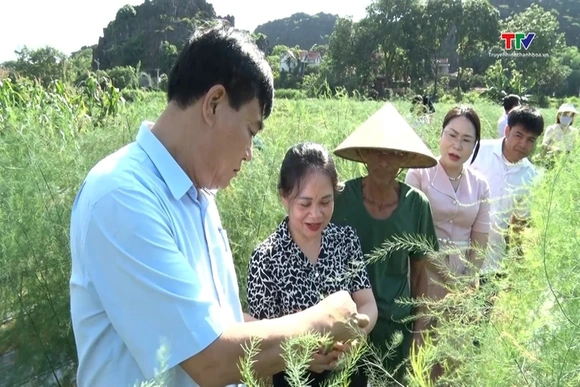 Nguồn vốn chính sách tiếp sức nông dân Vĩnh Lộc phát triển kinh tế
