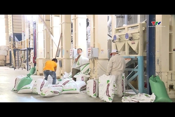 Xuất khẩu gạo thu về hơn 2 tỷ USD sau 5 tháng