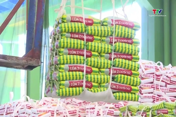 Bộ Tài chính xây dựng cơ chế hỗ trợ 1000 doanh nghiệp tiên phong