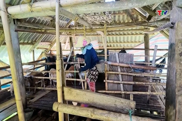 Giải pháp phòng chống dịch bệnh cho đàn vật nuôi trong mùa nắng nóng