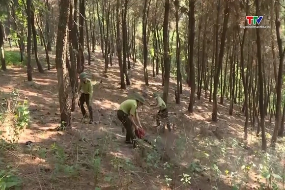 Tăng cường bảo vệ rừng trong cao điểm nắng nóng
