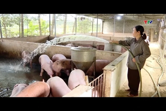 Chủ động phòng chống dịch bệnh cho đàn vật nuôi trong mùa nắng nóng