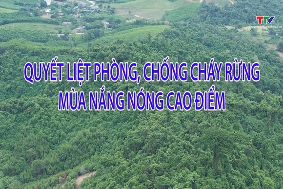 Phóng sự: Quyết liệt phòng chống cháy rừng mùa cao điểm