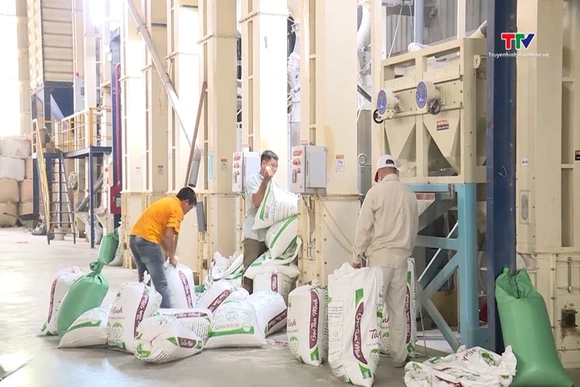 Nông sản Việt sẽ được truy xuất nguồn gốc quốc gia từ ngày 1/7