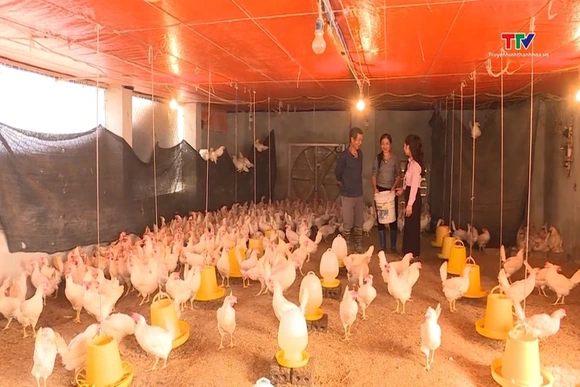 Nguồn vốn hỗ trợ đắc lực cho người dân phát triển sản xuất