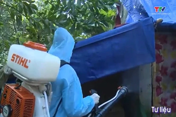 Chủ động phòng, chống bệnh sốt xuất huyết