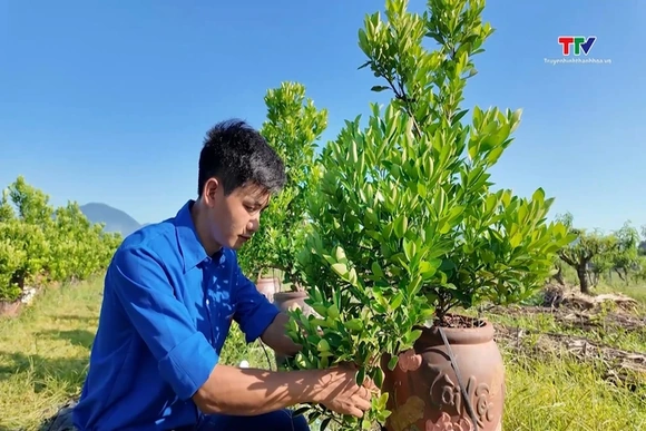 9X năng động làm kinh tế