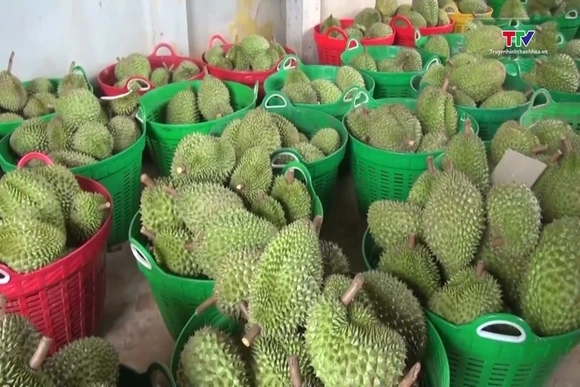 Đẩy nhanh tiến độ hệ thống truy xuất nguồn gốc