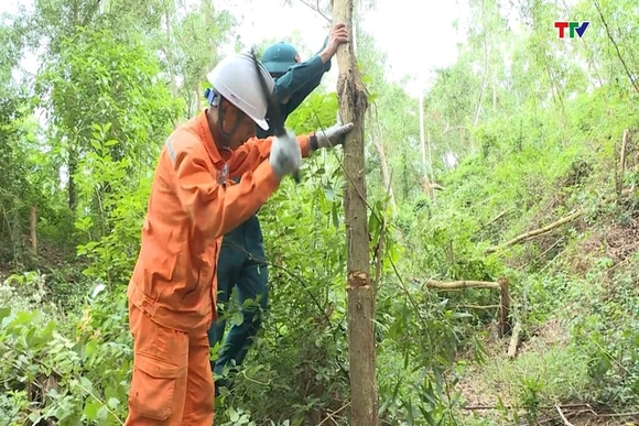 Ra quân giải toả hành lang lưới điện trước mùa mưa bão 2026