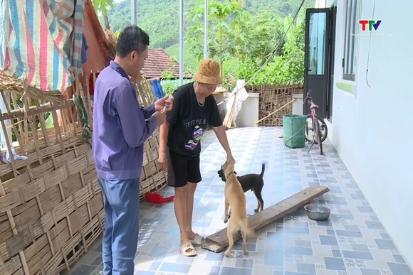 Tăng cường biện pháp phòng, chống bệnh dại trên chó, mèo
