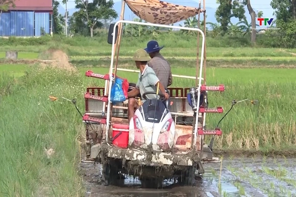 Các địa phương tập trung sản xuất vụ Mùa