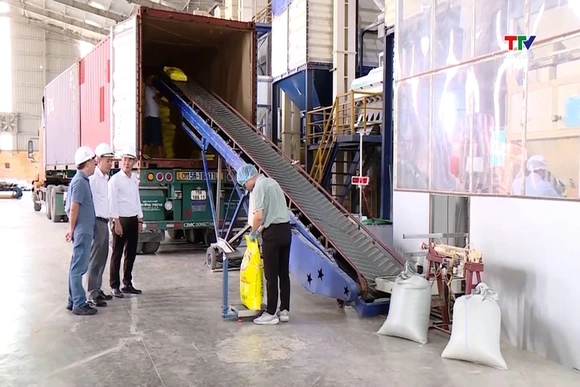 Từ 1/7, địa phương trực tiếp cấp chứng nhận gạo thơm xuất khẩu sang EU và Anh