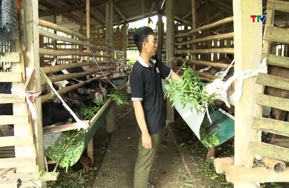Từ đất khó vươn lên