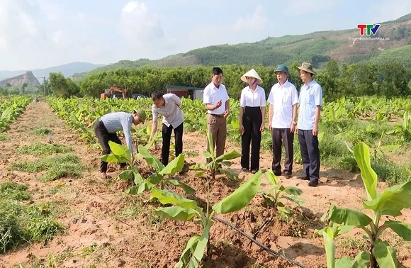 Chủ động xây dựng kịch bản ứng phó với El Nino