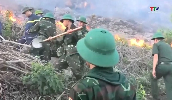 Thủ tướng chỉ đạo khẩn về phòng cháy, chữa cháy rừng