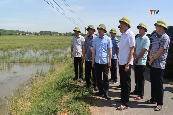 Đẩy nhanh tiến độ sản xuất vụ Thu Mùa