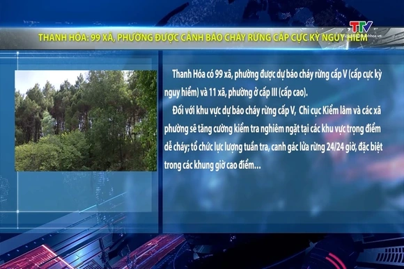 Thanh Hóa: 99 xã, phường được cảnh báo cháy rừng cấp cực kỳ nguy hiểm