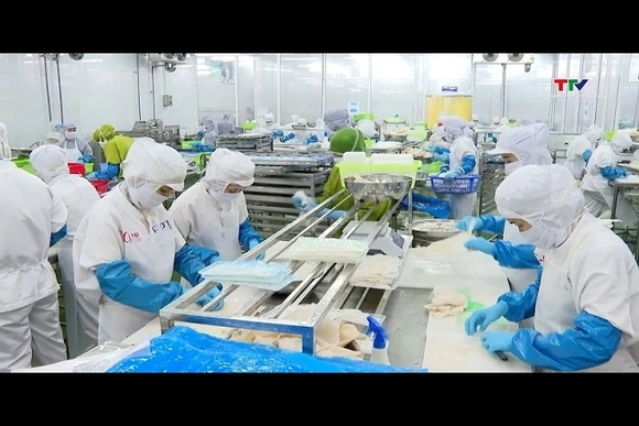 Doanh nghiệp xuất khẩu thủy sản đối mặt giá cước vận tải biển tăng cao