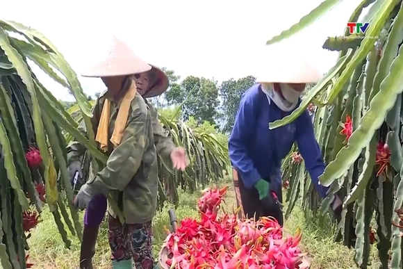 Việt Nam sắp gia nhập nhóm quốc gia nghìn tỷ USD