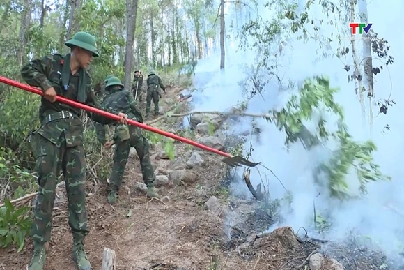 Nỗ lực khống chế cháy rừng tại phường Hải Bình