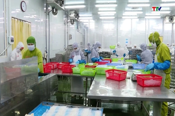 6 tháng, xuất khẩu thủy sản đạt trên 5,7 tỷ USD