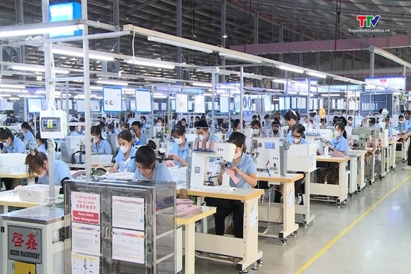 Doanh nghiệp ứng phó với cước vận tải biển tăng  cao