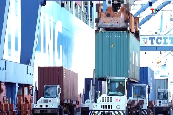 Doanh nghiệp ứng phó với tình trạng cước vận tải biển tăng cao