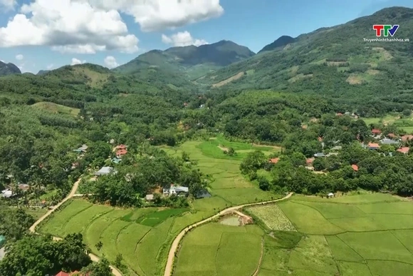 Hương rừng Thạch Lập