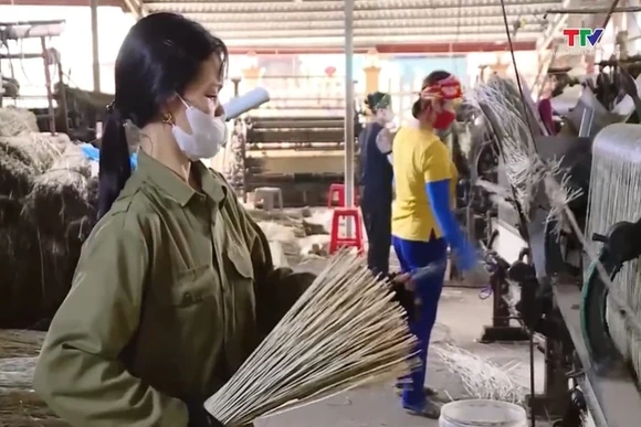 Ứng dụng khoa học công nghệ để phát triển nghề dệt chiếu cói