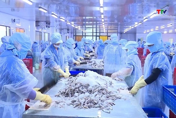 Giá trị hàng hóa thủy sản xuất khẩu đạt hơn 44,6 triệu USD