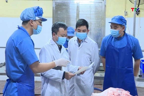 Tăng cường kiểm soát vận chuyển, giết mổ gia súc