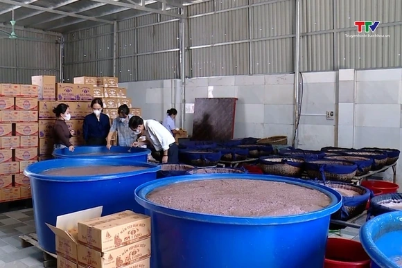Tăng cường quản lý mã số vùng trồng phục vụ xuất khẩu