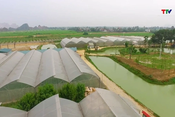 Nông nghiệp Thanh Hóa ước đạt mức tăng trưởng 3,6%