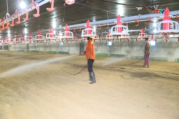 Chủ động phòng chống dịch bệnh cho gia súc, gia cầm