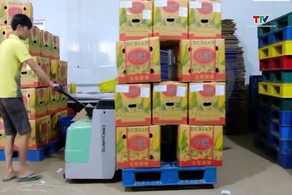 Nâng cấp chuỗi giá trị để nông sản Việt giữ thị phần tại Trung Quốc