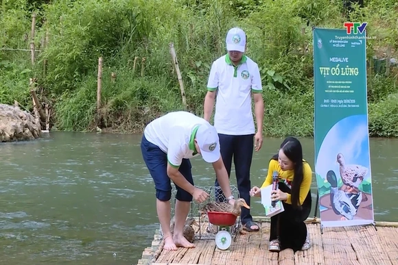 Livestream quảng bá và kết nối tiêu thụ vịt thương phẩm Cổ Lũng trên các nền tảng mạng xã hội