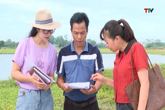 Chậm cấp “sổ đỏ” cho các hộ dân trúng đấu giá đất tại phường Đông Tiến