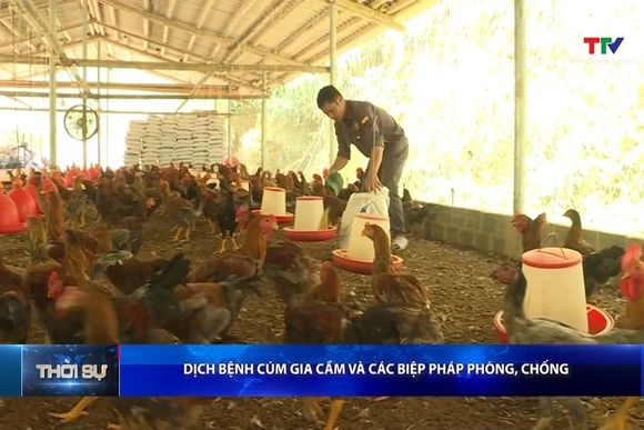 Bản tin Thời sự 16h ngày 30/6/2026
