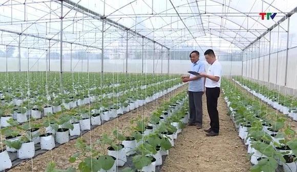 Quản lý mã số vùng trồng và cơ sở kiểm nghiệm nông sản phục vụ xuất khẩu