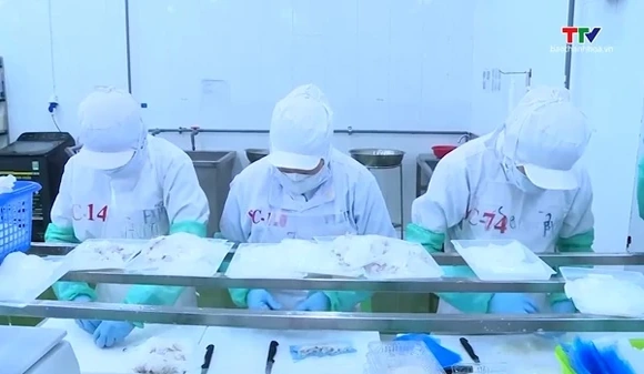 6 tháng năm 2026, xuất khẩu nông, lâm, thủy sản đạt gần 35,9 tỷ USD