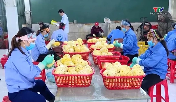 Giá trị xuất khẩu hàng hóa 6 tháng đạt gần 3,6 tỷ USD