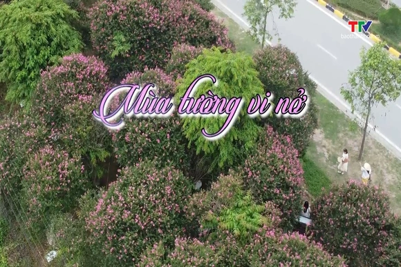 Thanh Hóa - Đi để yêu ngày 08/7/2026